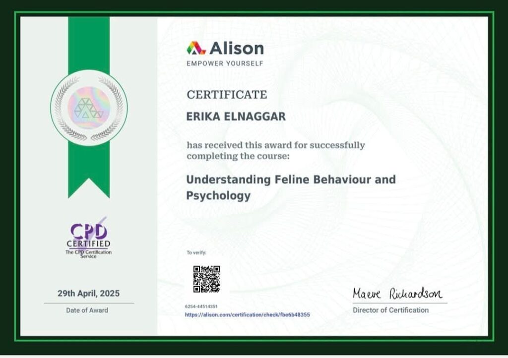 Alison CPD certificate — Understanding Feline Behaviour and Psychology
