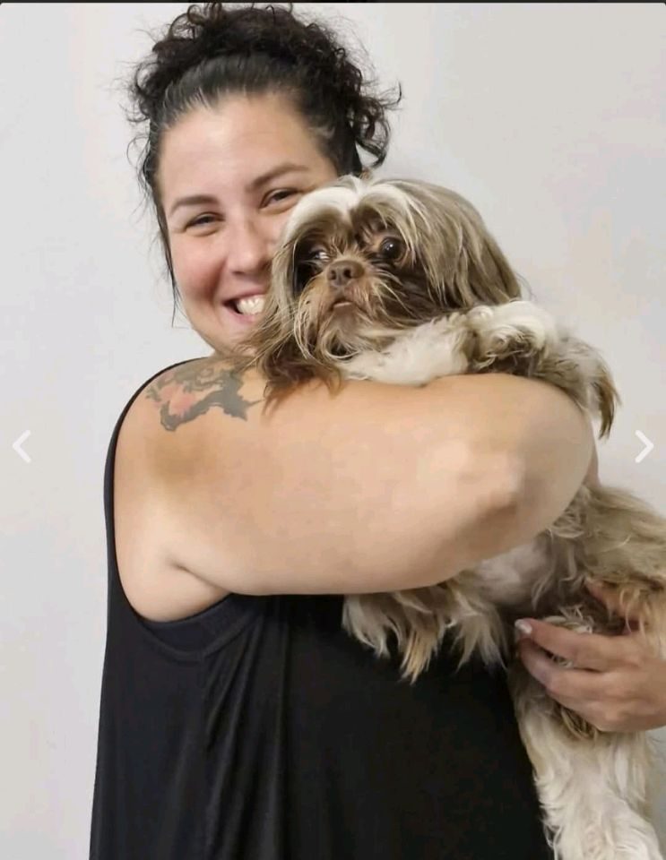 Pets cared for at home in Dubai
